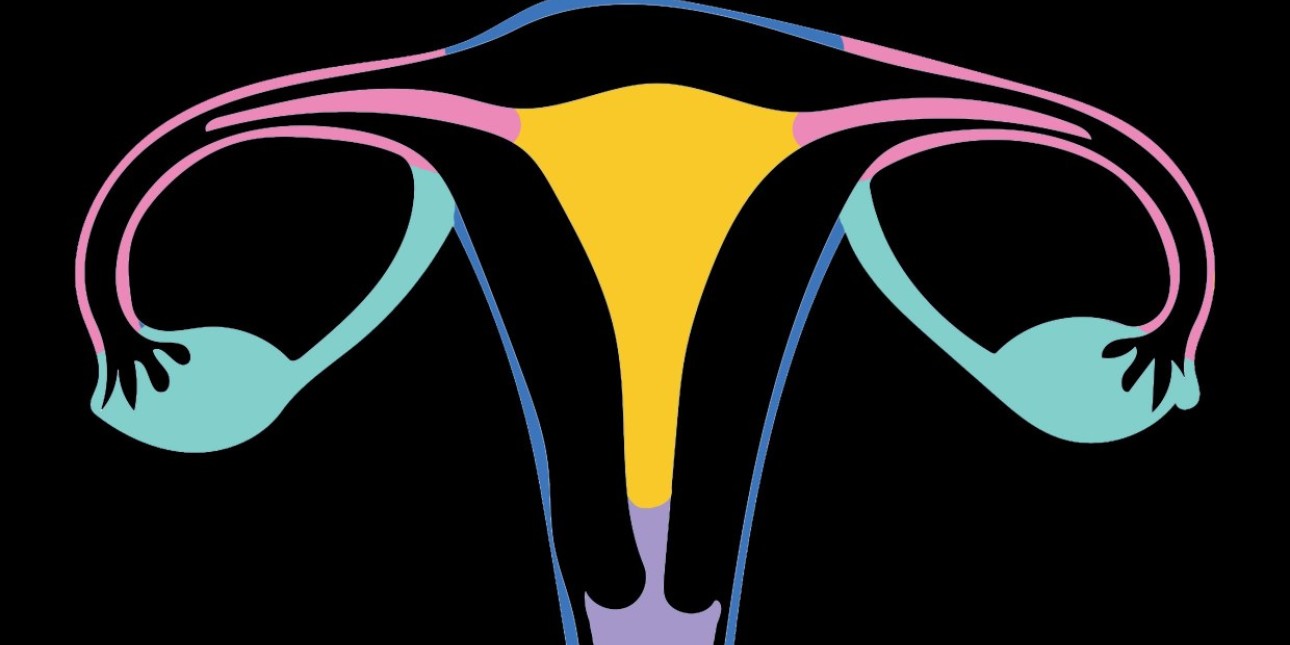 illustration of the different areas of removal by procedure