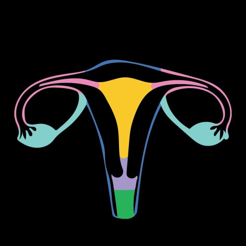 illustration of the different areas of removal by procedure